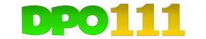 dpo111